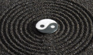 桑拓木是什么 关于桑拓木的简介