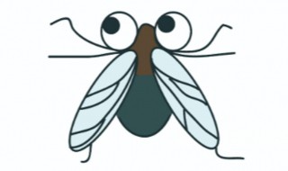 人类根据苍蝇发明了什么 人类根据苍蝇的发明介绍