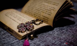 路遥知马力的下一句诗是什么 路遥知马力的出处