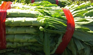 贡菜和莴笋的区别是什么 贡菜和莴笋的区别介绍