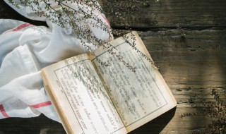 芪怎么读拼音 关于芪的解释