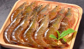 刚买回来的虾子怎么保鲜 如何给虾保鲜