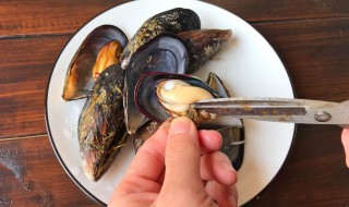 活海虹怎么保存过夜 活海虹保存过夜的方法