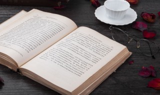 白皑皑是什么意思 白皑皑解释