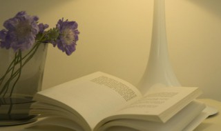 红豆生南国的下一句是什么 红豆生南国的原文及翻译