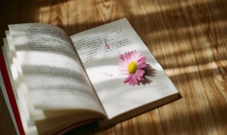 爱人者人恒爱之下一句是什么 爱人者人恒爱之的出处