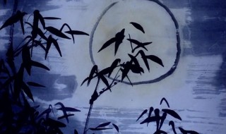 盖竹柏影也的前两句诗是什么 盖竹柏影也的出处