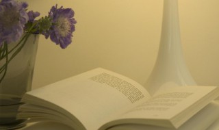 鸿鹄群游的意思 鸿鹄群游的详细解释