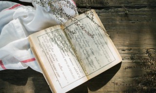 或在古文中有或者的意思吗 或在古文中是什么意思