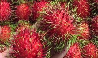 红牡丹水果是热性还是凉性 红牡丹水果是热性吗