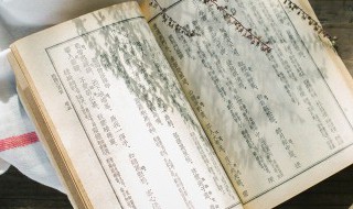 纸醉金迷的下一句是什么 纸醉金迷的后面一句是什么