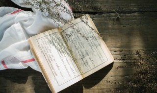 平沙无垠敻不见人敻念什么 平沙无垠敻不见人出处及原文翻译