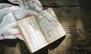 五丈灌韭的文体是什么 五丈灌韭文言文内容及翻译