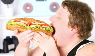 食物消化过程四个步骤是什么 食物消化的四个步骤是什么