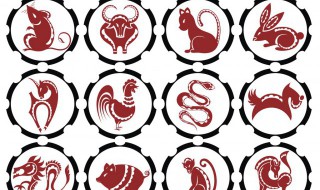 酉鸡戌狗读什么 酉鸡戌狗怎么读