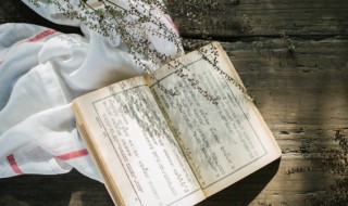 恨不相逢未嫁时下句是什么 恨不相逢未嫁时下句怎么说