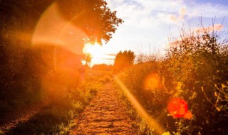 心情文案短句干净 心情文案短句有哪些