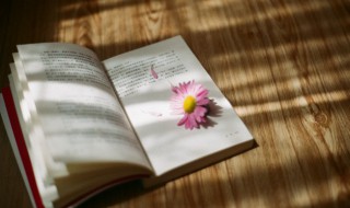 千万和春住上一句是什么 千万和春住的原文及翻译