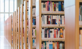 望庐山瀑布的作者想象的内容是什么 望庐山瀑布的原文及翻译