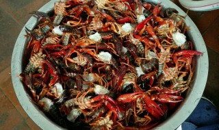 洗龙虾用什么清洗最干净 龙虾清洗干净方法