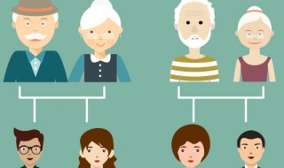 直系和嫡系有什么区别 直系和嫡系的不同