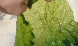 蛎菜的功效与作用 关于蛎菜的功效介绍