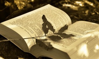 玲珑娇软是什么意思 玲珑娇软解释