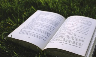 偶极是什么意思 偶极解释