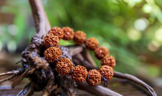 菩提根手串有什么功效 菩提根手串作用有哪些