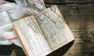 红楼梦好句子 红楼梦好句子摘抄有哪些