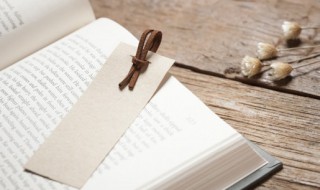 红楼梦好段摘抄大全300字 关于红楼梦好段摘抄大全300字