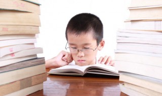 娃组词 娃字如何组词