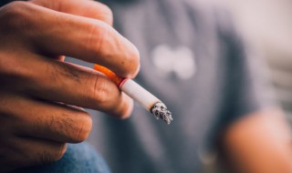 软中华和硬中华有什么区别 软中华和硬中华的区别介绍