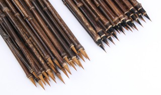 紫毫和狼毫哪个好 紫毫和狼毫的区别