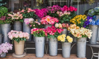 怎样延长插花保鲜时间 如何延长插花保鲜时间