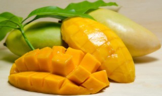 圆圆的大芒果是什么品种 芒果相关资料介绍