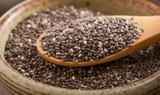 奇亚籽可以做冰粉吗 奇亚籽可不可以做冰粉