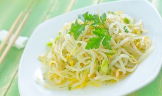 如何制作豆芽粉条 怎么制作好吃的豆芽粉条