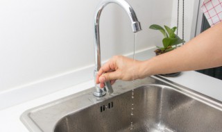 节水节电节粮标语 节水节电节粮标语有哪些