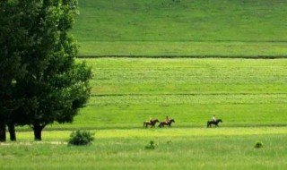 热和现在是哪个省 热和的所属省份
