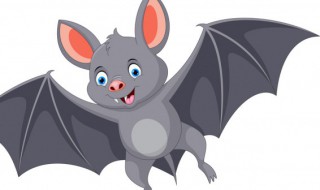 蝙蝠一般晚上几点出来 蝙蝠一般晚上几点出来活动