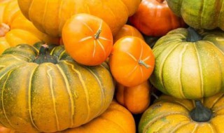 南瓜成熟的标志 南瓜简介