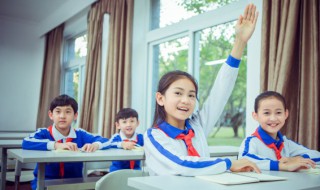 输组词 输组词有哪些