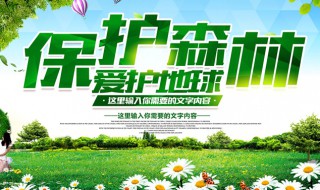 关于保护森林的广告词有哪些 描写保护森林的广告词