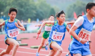 运动会作文350字 运动会作文范文