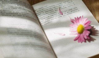 道组词 道可以组成什么词