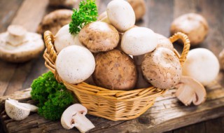 菌菇类怎样保鲜 新鲜菌类的保存方法