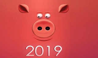 2019年上映的香港电影有哪些 2019年香港电影大盘点