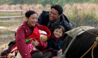 春草电视剧大结局 春草是一部励志作品