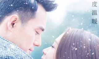 抱紧我抓紧我电视剧大结局 陈亦度、厉薇薇两个主角最终剧情是什么